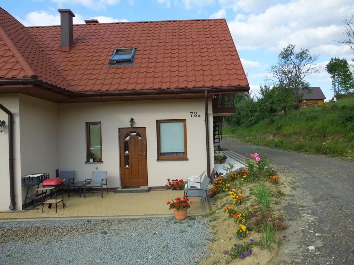 Pensjonat Na Zielonym Wzgórzu Zawóz Exterior foto